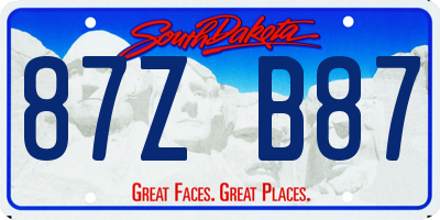 SD license plate 87ZB87