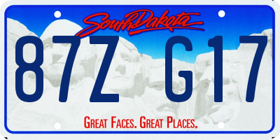 SD license plate 87ZG17