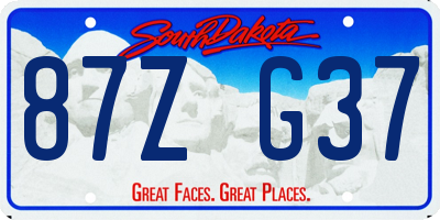 SD license plate 87ZG37
