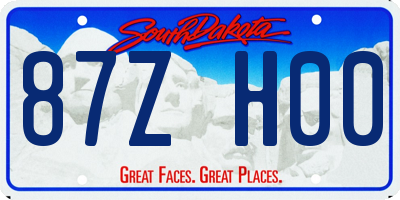 SD license plate 87ZH00