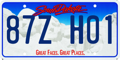 SD license plate 87ZH01