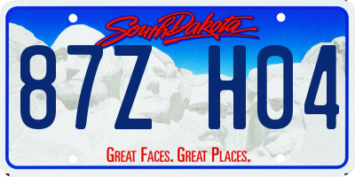 SD license plate 87ZH04
