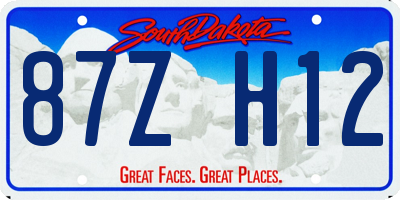 SD license plate 87ZH12