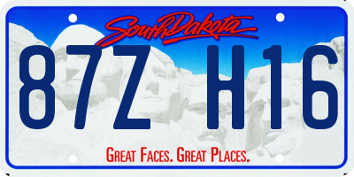SD license plate 87ZH16