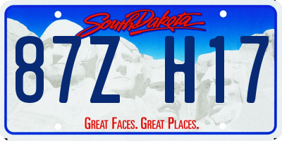 SD license plate 87ZH17