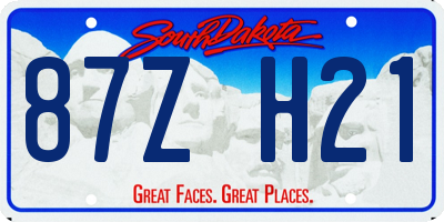 SD license plate 87ZH21