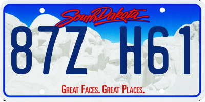SD license plate 87ZH61