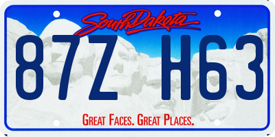 SD license plate 87ZH63