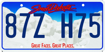 SD license plate 87ZH75