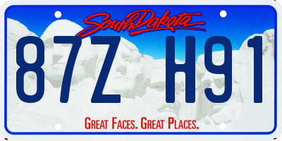 SD license plate 87ZH91