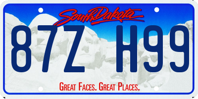 SD license plate 87ZH99