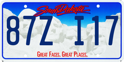 SD license plate 87ZI17