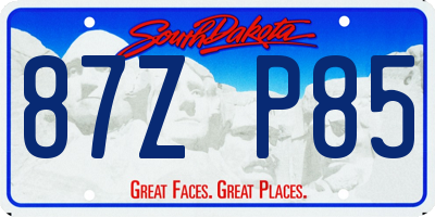SD license plate 87ZP85