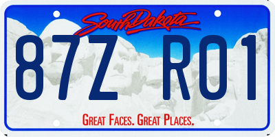 SD license plate 87ZR01
