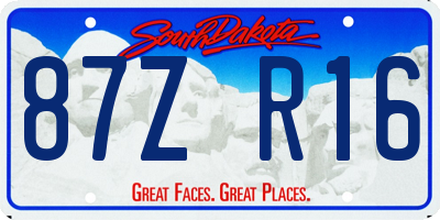 SD license plate 87ZR16