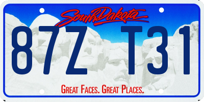 SD license plate 87ZT31