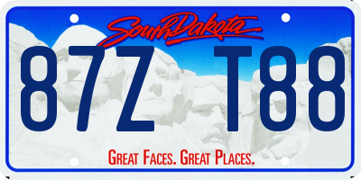 SD license plate 87ZT88