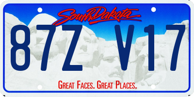 SD license plate 87ZV17