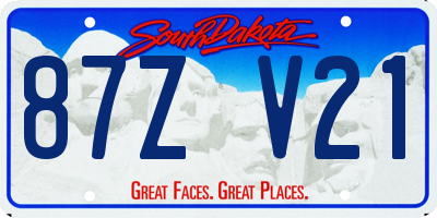 SD license plate 87ZV21