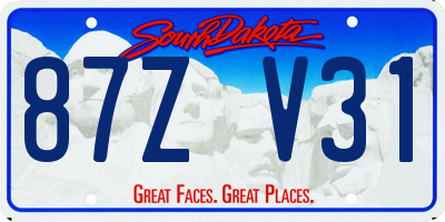 SD license plate 87ZV31