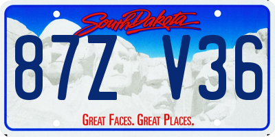 SD license plate 87ZV36
