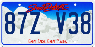 SD license plate 87ZV38