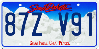 SD license plate 87ZV91