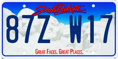 SD license plate 87ZW17