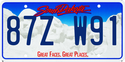 SD license plate 87ZW91