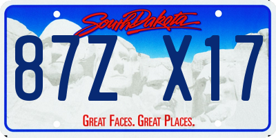 SD license plate 87ZX17