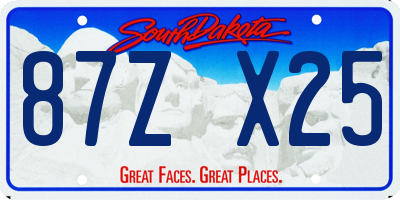SD license plate 87ZX25