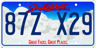 SD license plate 87ZX29