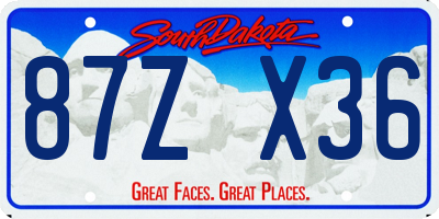 SD license plate 87ZX36