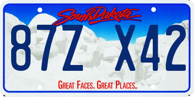 SD license plate 87ZX42