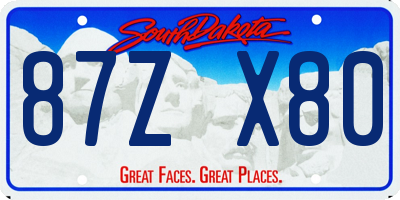 SD license plate 87ZX80