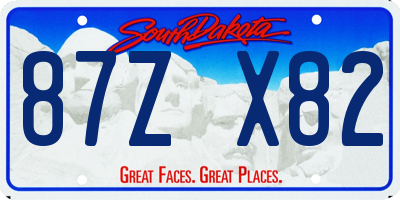 SD license plate 87ZX82
