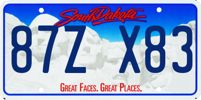 SD license plate 87ZX83