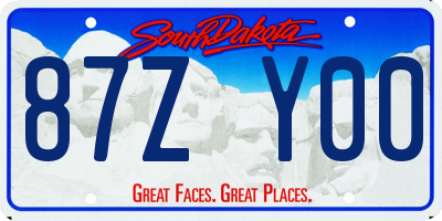 SD license plate 87ZY00