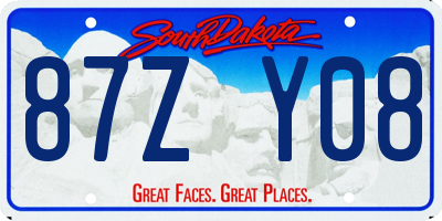 SD license plate 87ZY08
