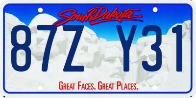 SD license plate 87ZY31