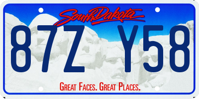 SD license plate 87ZY58