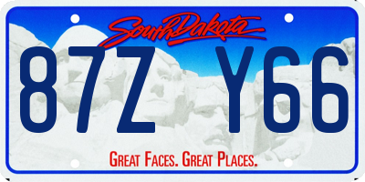 SD license plate 87ZY66