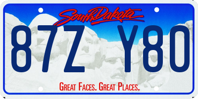 SD license plate 87ZY80