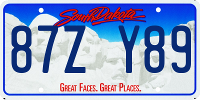 SD license plate 87ZY89