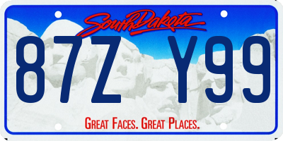 SD license plate 87ZY99