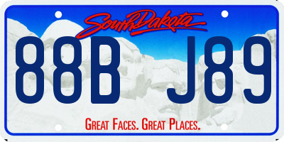 SD license plate 88BJ89