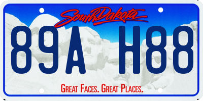 SD license plate 89AH88