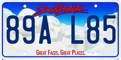 SD license plate 89AL85