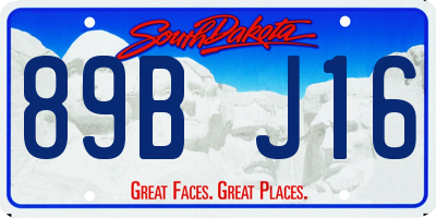 SD license plate 89BJ16