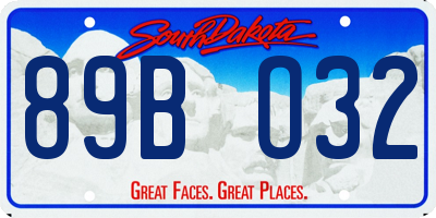 SD license plate 89BO32